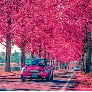 /24tsag/images/2015/5/ad06ba5a3eceed836172ad7ab14bc8ef/5d0qt5kfmetm1m2sldfaokni7f