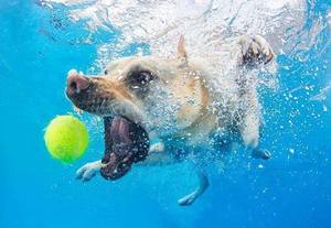 /24tsag/images/2015/6/a9ff8123e15a566f15f55c4308cda28e/59vu0i7oaqapnhbtas8c4cr8ke