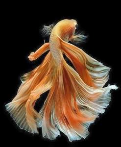 /24tsag/images/2015/6/b0475f12d7cc03df04c02513bda64145/5g8tfh5luc0ffg9g152euqcga5