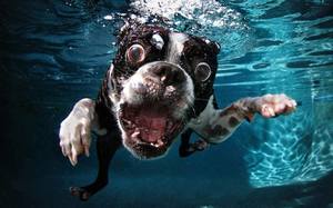 /24tsag/images/2015/6/c7b074aed571bb558db1b19e6f962e1b/67m1qatlbhndaorcdhjpnpcbgr