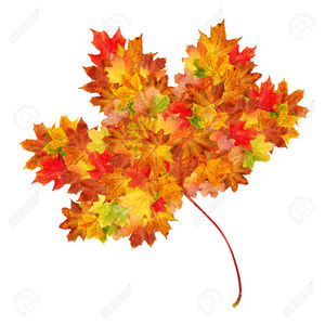 /24tsag/images/2016/10/301068b3fa6dc5136178c6de6c251612/1g21kb7ujdok9m2u66rpm2a5gi
