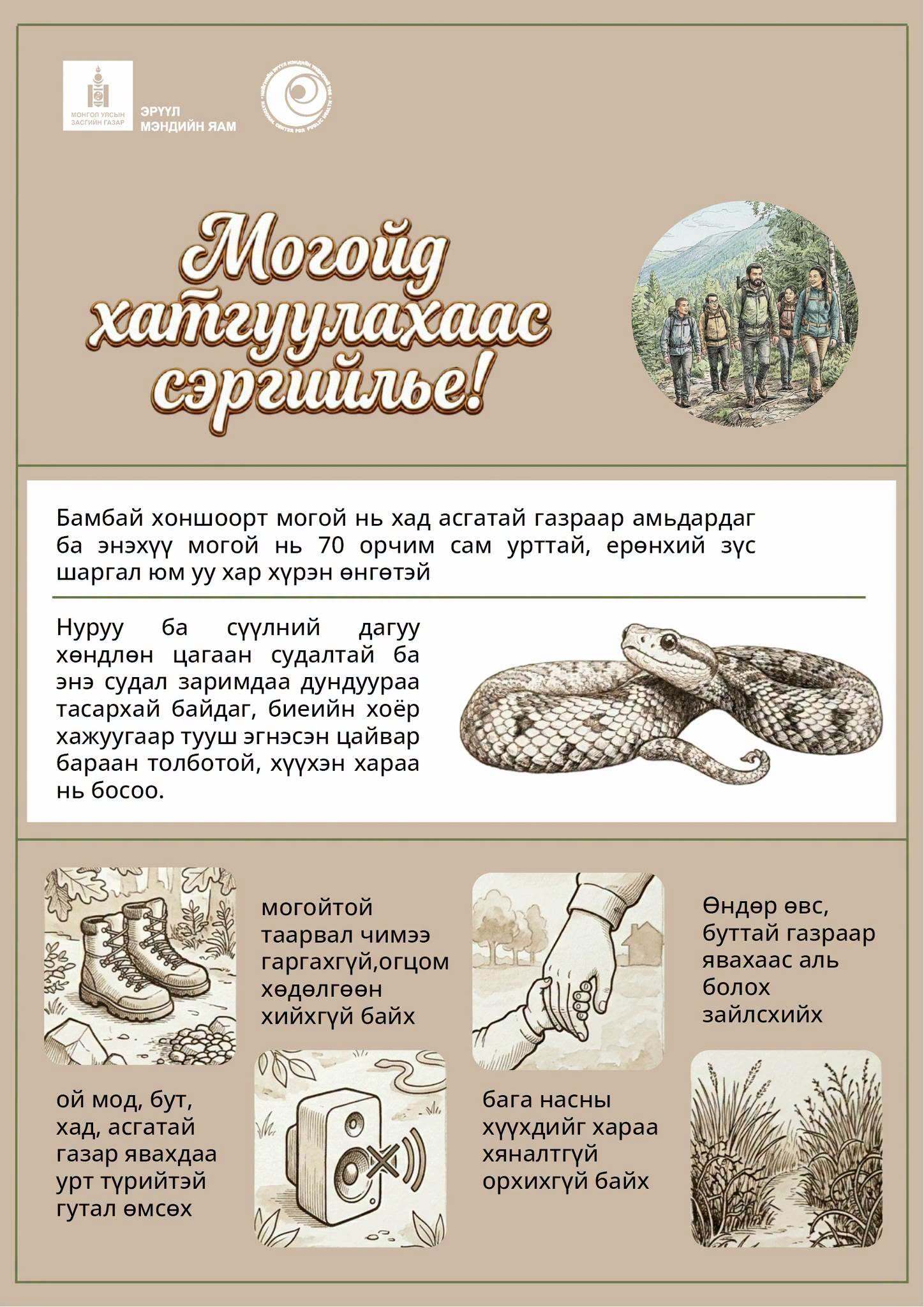 Бамбай хоншоорт могойд хатгуулахаас сэргийлье