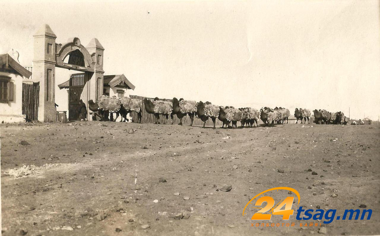 Монголия 1927-1928гг (Из одного семейного альбома) гэсэн нэртэй гэрэл цомгийн зургуудын нэг. Караван верблюдов у таможни гэсэн нэрээр байдаг.