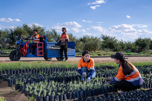 24tsag/image/2025/11/04/dt0rat7v3mkjwyg4/11