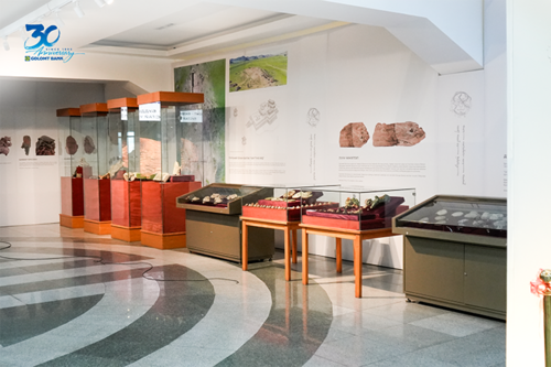 24tsag/image/2025/11/14/rkqflh8t01m839mf/2