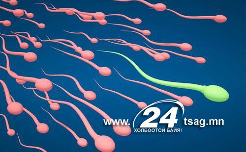 226641-mice-1312785233-829-640x480
