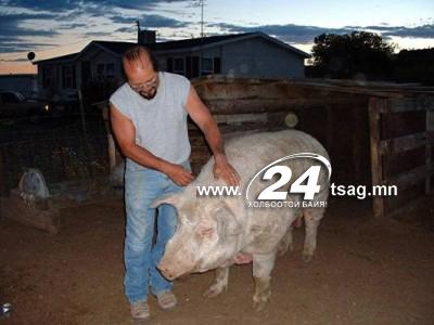 121001ranch_death660