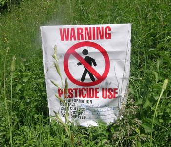 Pesticides-and-Food-Safety Pesticides-and-Food-Safety