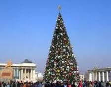 нийслэлийн сүлд мод