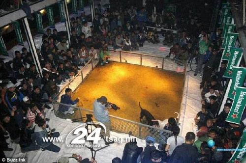 heineken24.