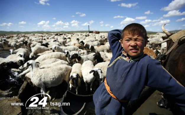 mongolia-reu