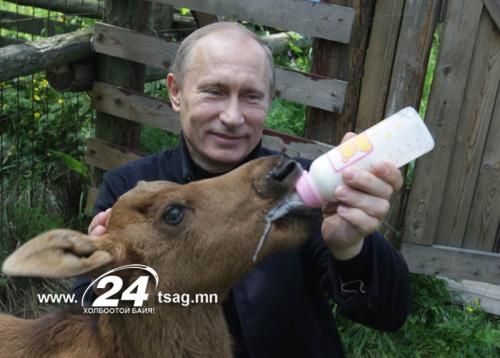 Putin