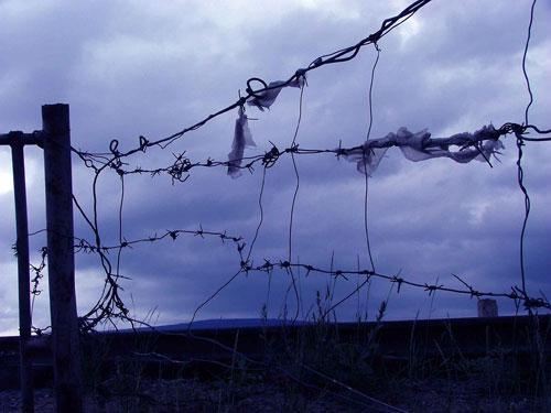 304fbe2524ac821abig5