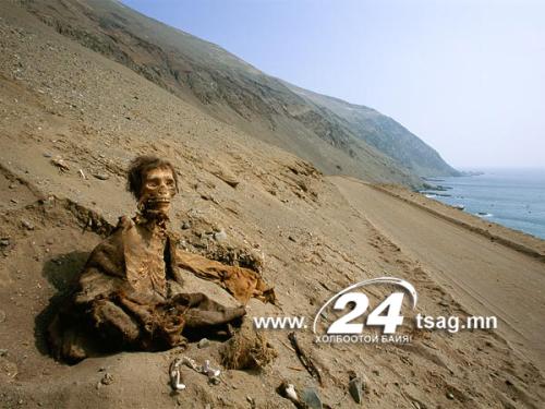 death-cult-mummies-desert-bewigged-boy_58189_600x450
