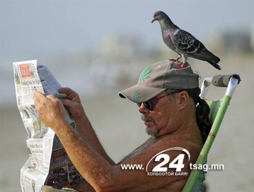 perfectly-timed-photos-2