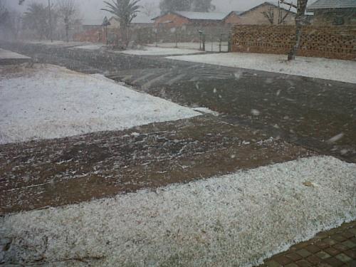 snow-palmridge