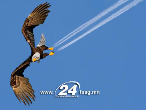 perfectly-timed-photos-2
