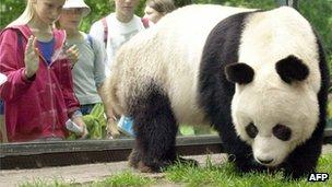 _62429418_baobao2