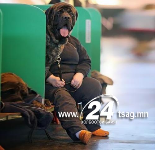perfectly-timed-photos-2