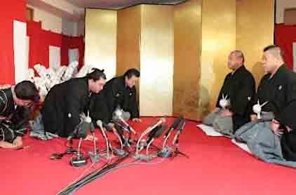 harumafuji_500x500