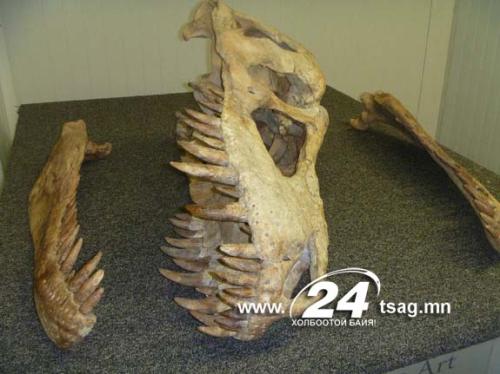 120904-Dinosaur1Photo-hmed-0945a_files