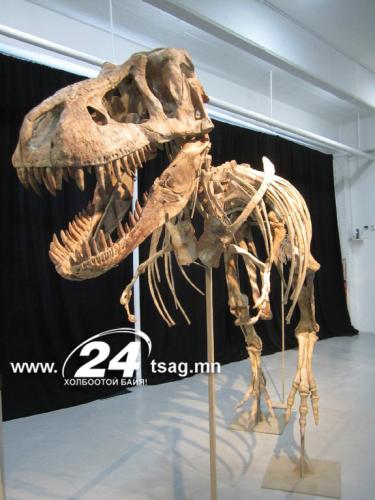 120904-Dinosaur1Photo-hmed-0945a_files