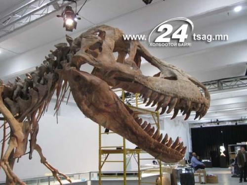 120904-Dinosaur1Photo-hmed-0945a_files