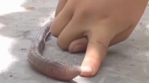 d3fb867be7924d534897769878bb412f