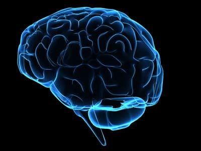 brain-blue_light brain-blue_light