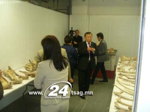 120904-Dinosaur1Photo-hmed-0945a_files