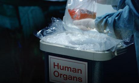 organtrafficking organtrafficking