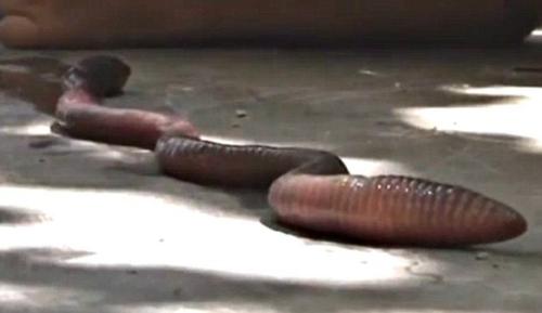 d3fb867be7924d534897769878bb412f