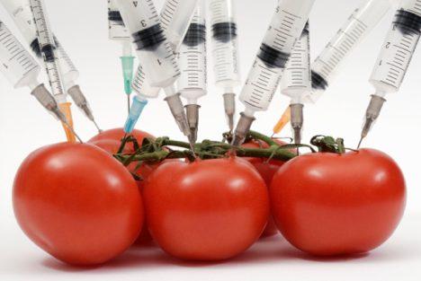 GMO1
