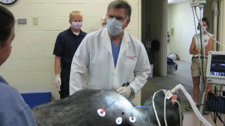 130411110329_cardilogo_larry_hergott_640x360_g_nocredit