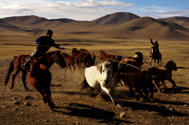 mongolia-800x533 mongolia-800x533