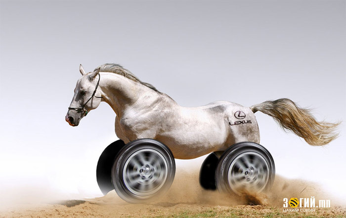 cover_horse cover_horse