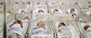 n-BABIES-medium n-BABIES-medium