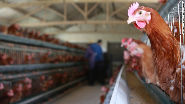 130418094540-china-bird-flu-0418-story-top 130418094540-china-bird-flu-0418-story-top