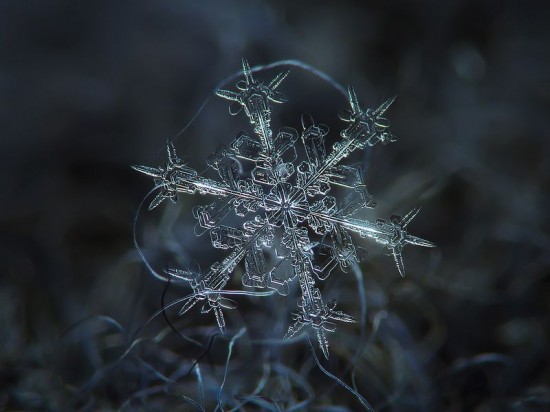 snowflake-closeup-550x412