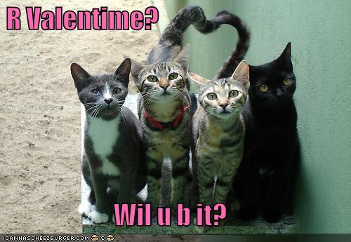 An-Arrow-From-Cupid