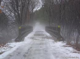 images images