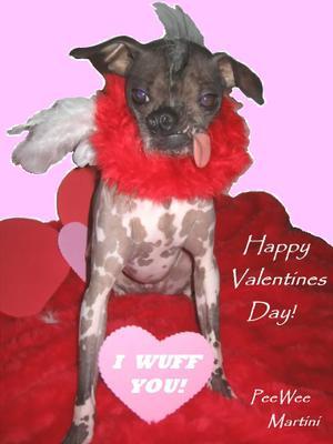 An-Arrow-From-Cupid