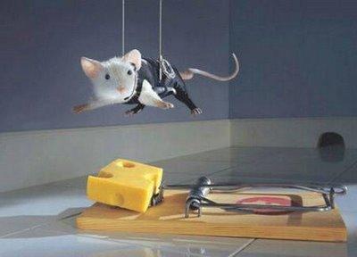 mouse-trap1