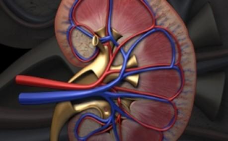 d39ef9f070c6de03fae8c0088099ed12_x3