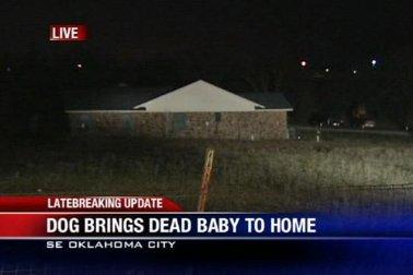 img-Dog-brings-dead-baby-to-home1 img-Dog-brings-dead-baby-to-home1