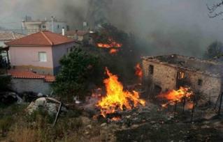greece_fire_zaharo-middle greece_fire_zaharo-middle