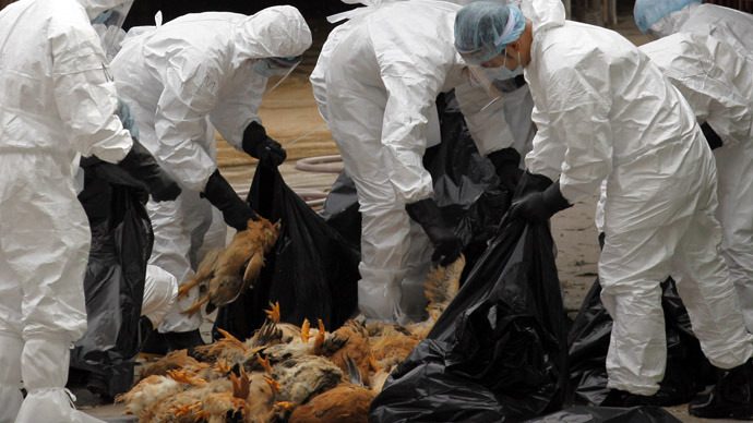 new-avian-flu-deaths.si
