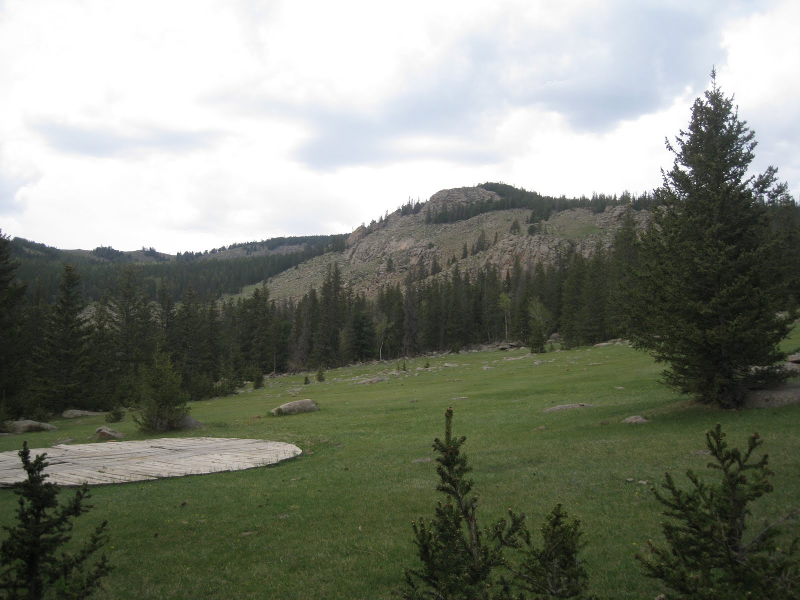 IMG_2303 IMG_2303