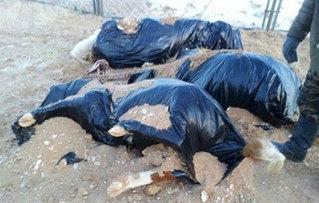 улаанбадрах улаанбадрах