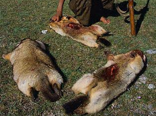 Snapshot_2013-07-30_140416